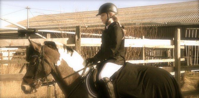 Hollandsk Sportspony COLOR <SOLGT!> - dejlig pony! lige efter en god LC*. :) <3 billede 8