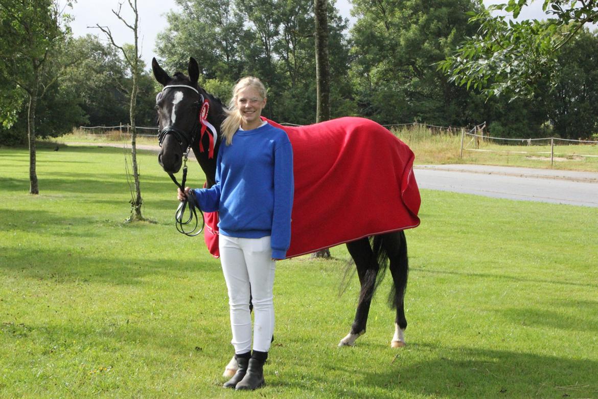 DSP Faithful Little Joy, billede 4