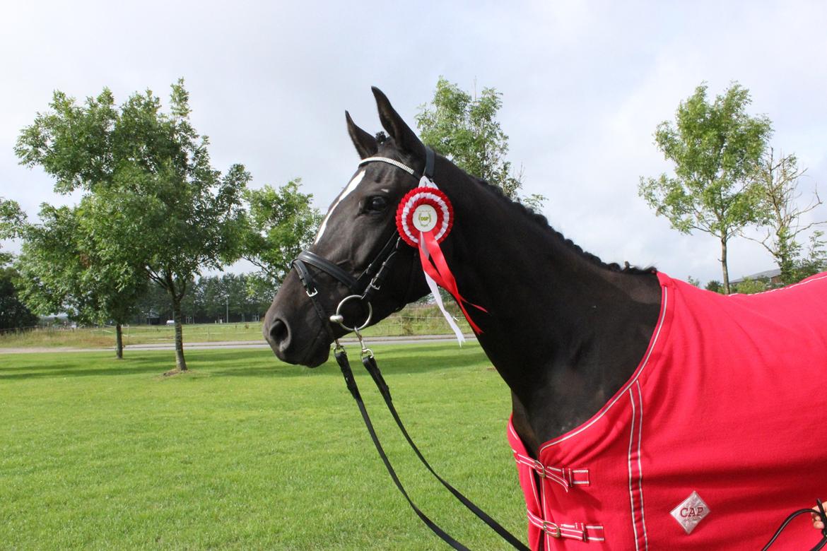 DSP Faithful Little Joy, billede 2