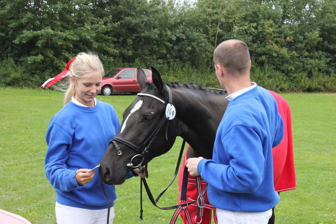 DSP Faithful Little Joy, billede 3