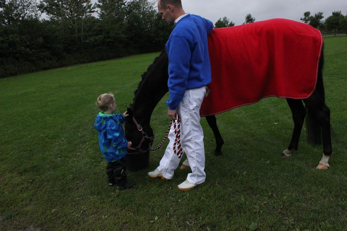 DSP Faithful Little Joy, billede 6