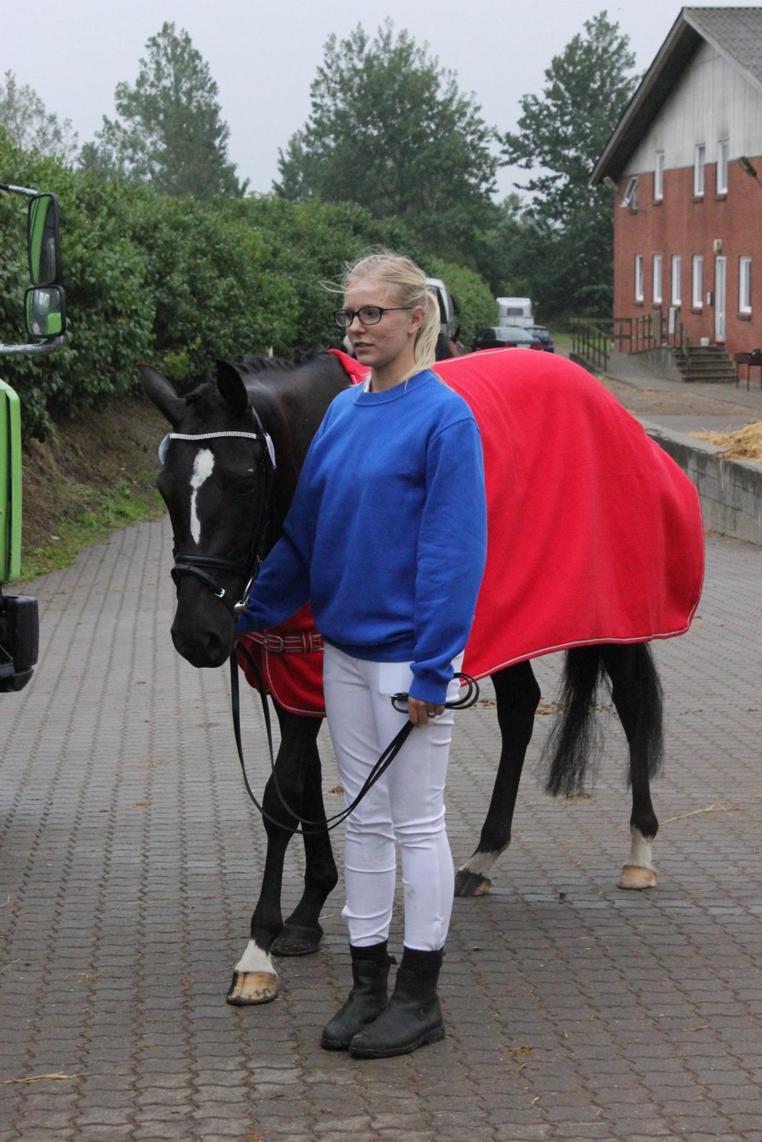 DSP Faithful Little Joy, billede 5