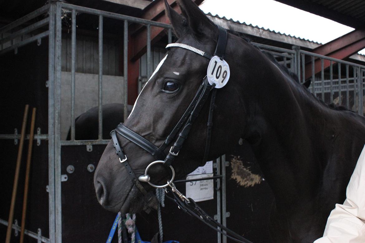 DSP Faithful Little Joy, billede 7