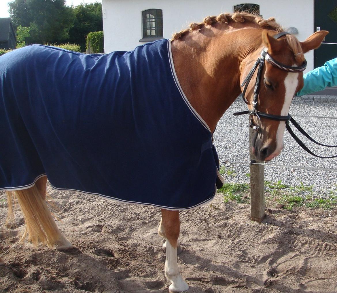 DSP Amanda af Bakholm billede 5