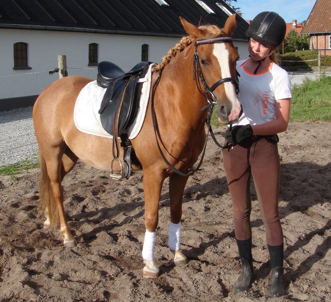 DSP Amanda af Bakholm - 12.08.2013 billede 6