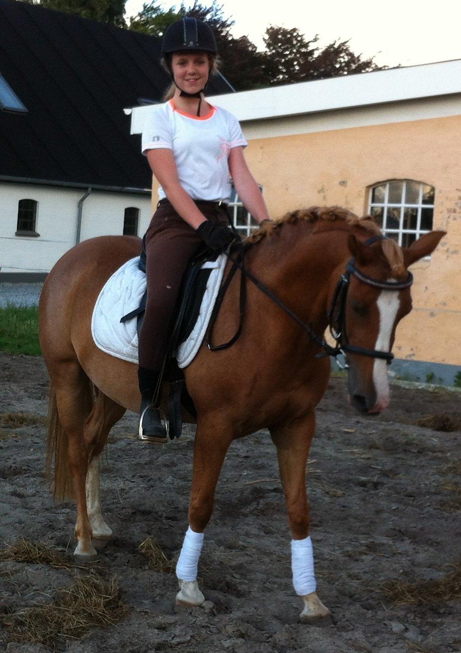 DSP Amanda af Bakholm - Amanda og hendes bedste ven Mille billede 7