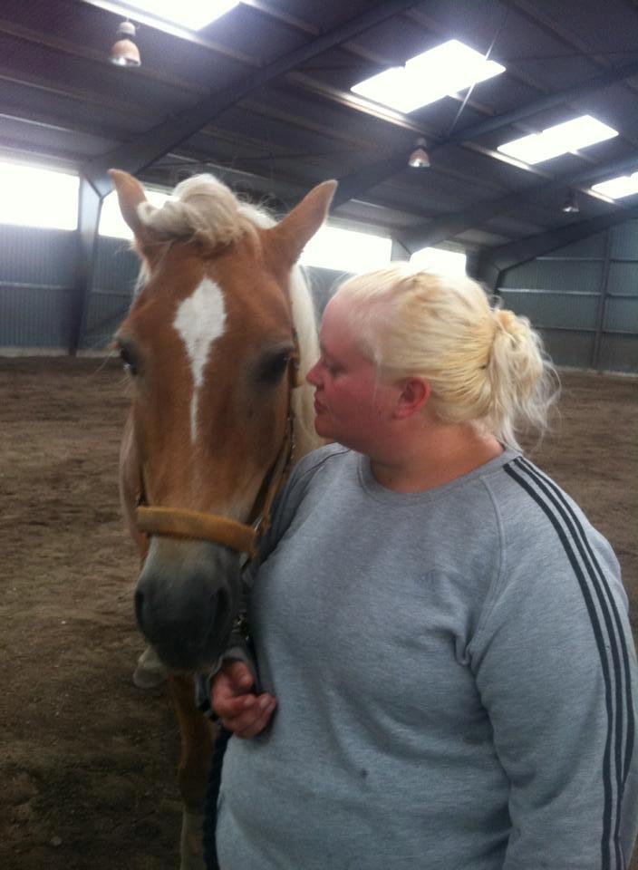 Haflinger Astilbe billede 8