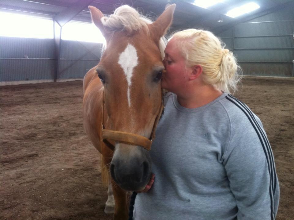 Haflinger Astilbe billede 13