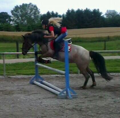 Anden særlig race Manou  *Klubmester spring 2012* - I do it because I can, I can because I want to, I want to cause you said I couldn't billede 13