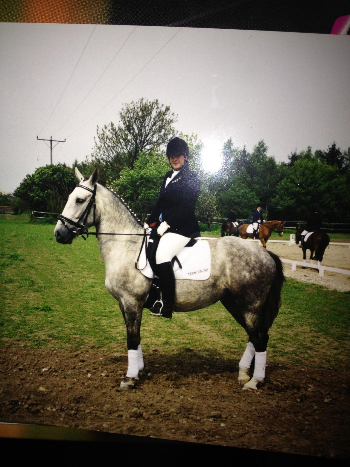 Lipizzaner Dalsø´s kiri - stævne billede 25