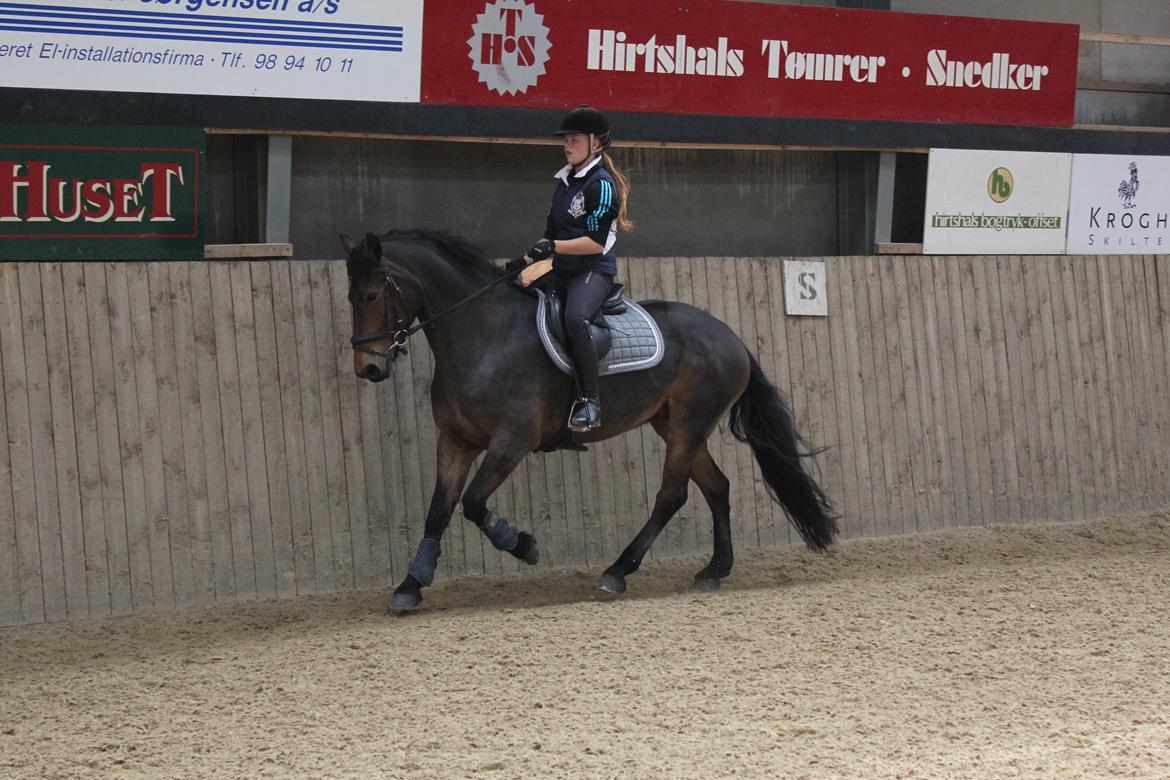 Anden særlig race Victoria billede 6