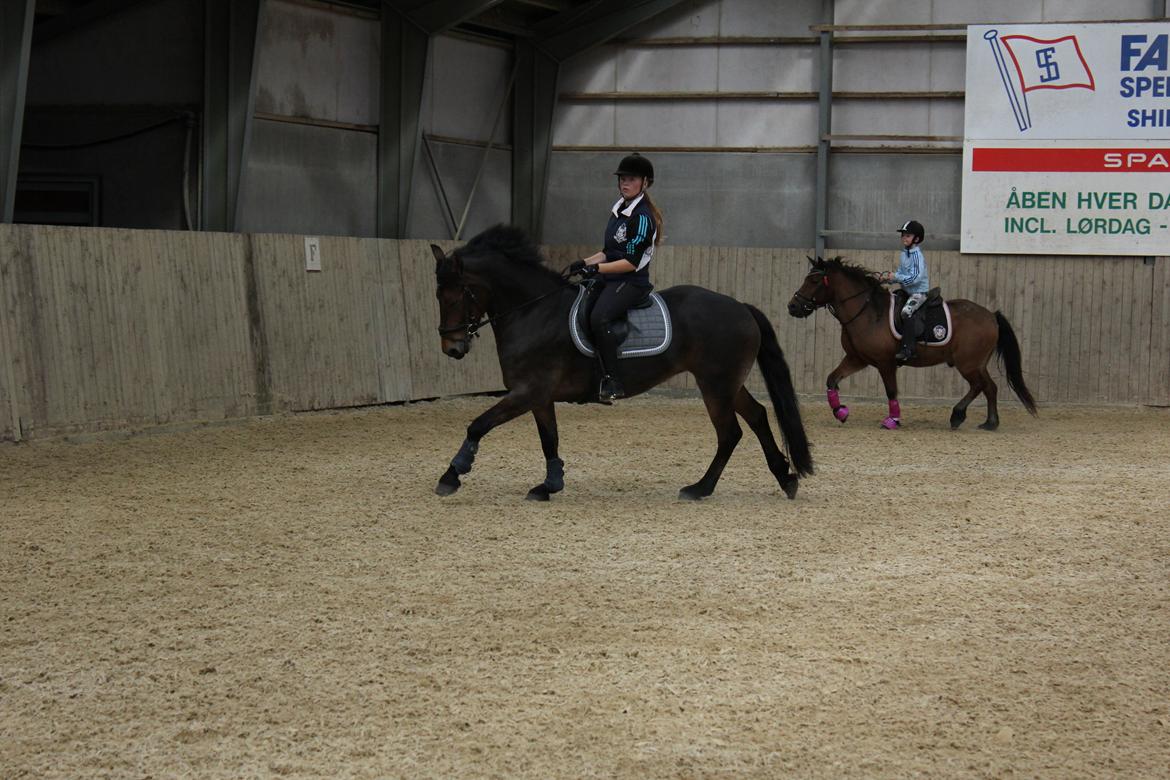 Anden særlig race Victoria billede 7