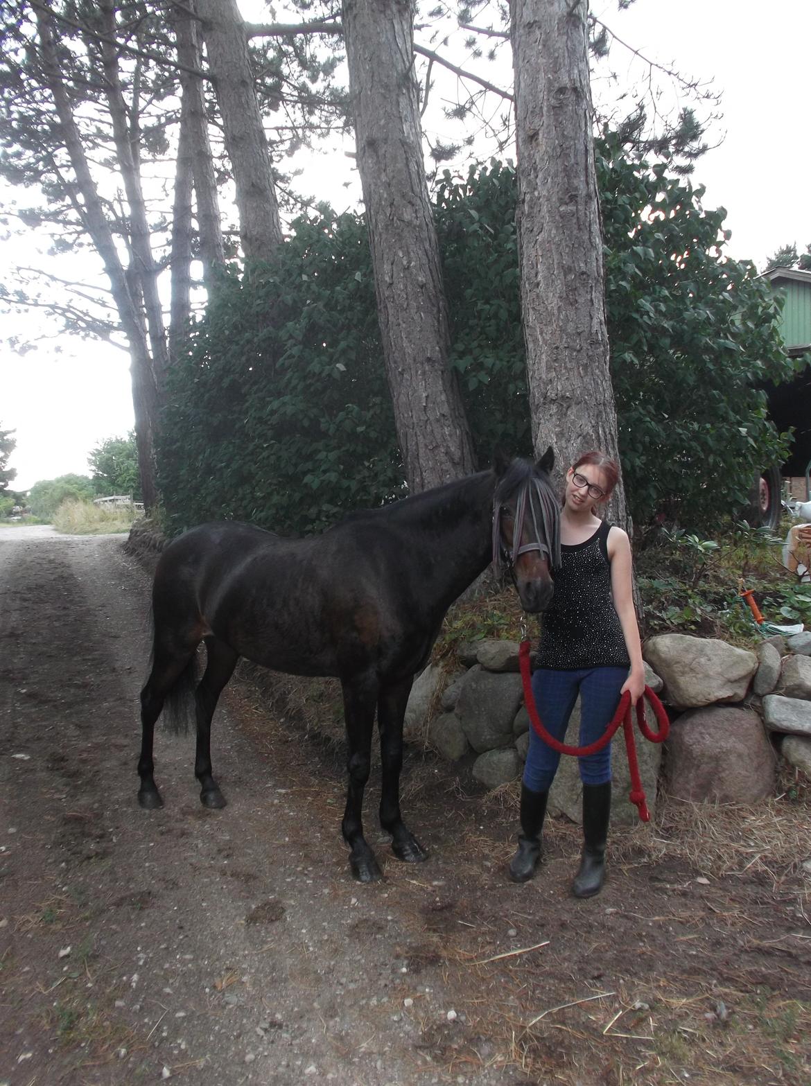 DSP Ronja - Lige blevet vasket, dagen inden stævne! <3 billede 27