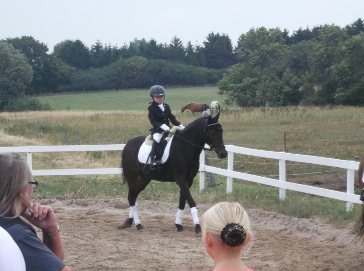 DSP Ronja - Aww, Ronja og Lena. Så søde, OMG! <3 billede 22