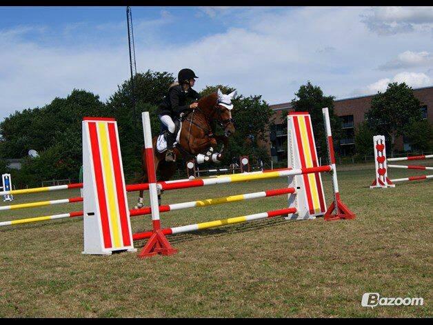 Tysk Sportspony DayDream 38 billede 3