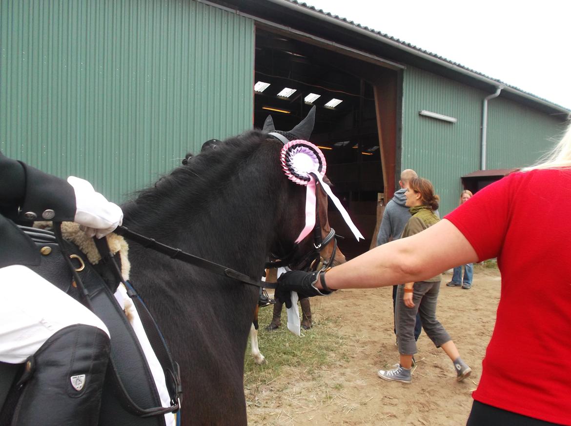 DSP Ronja - Efter Lena på 6 år & Ronjas super flotte LD1 (under 10 år), med lyserød sløjfe og det hele. ;) Lena var lykkelig! <3 billede 5