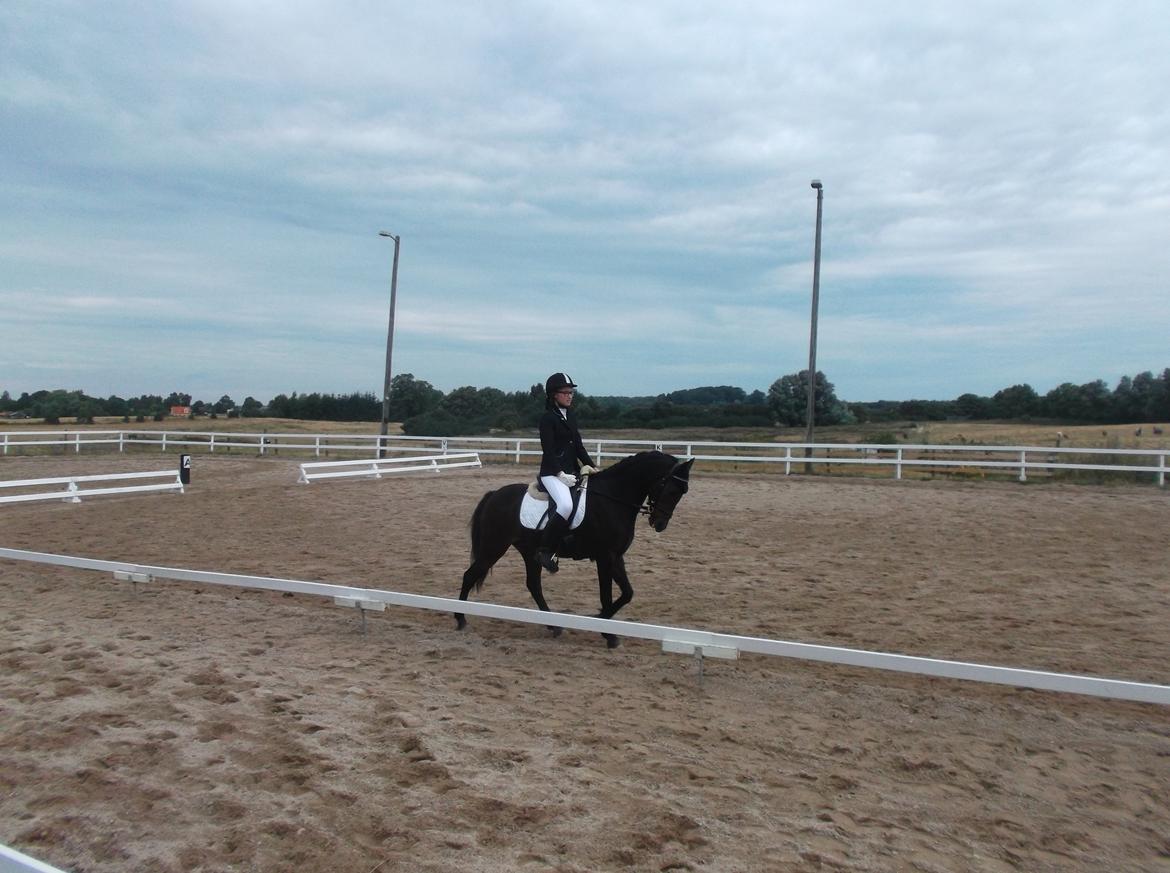 DSP Ronja - 3. stævne på Ronja - Næsten udklasset af LD1. :S billede 7