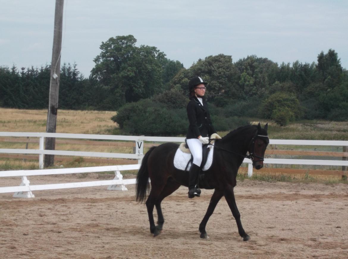 DSP Ronja - 3. stævne på Ronja! Hun var virkelig sød! <3 billede 12