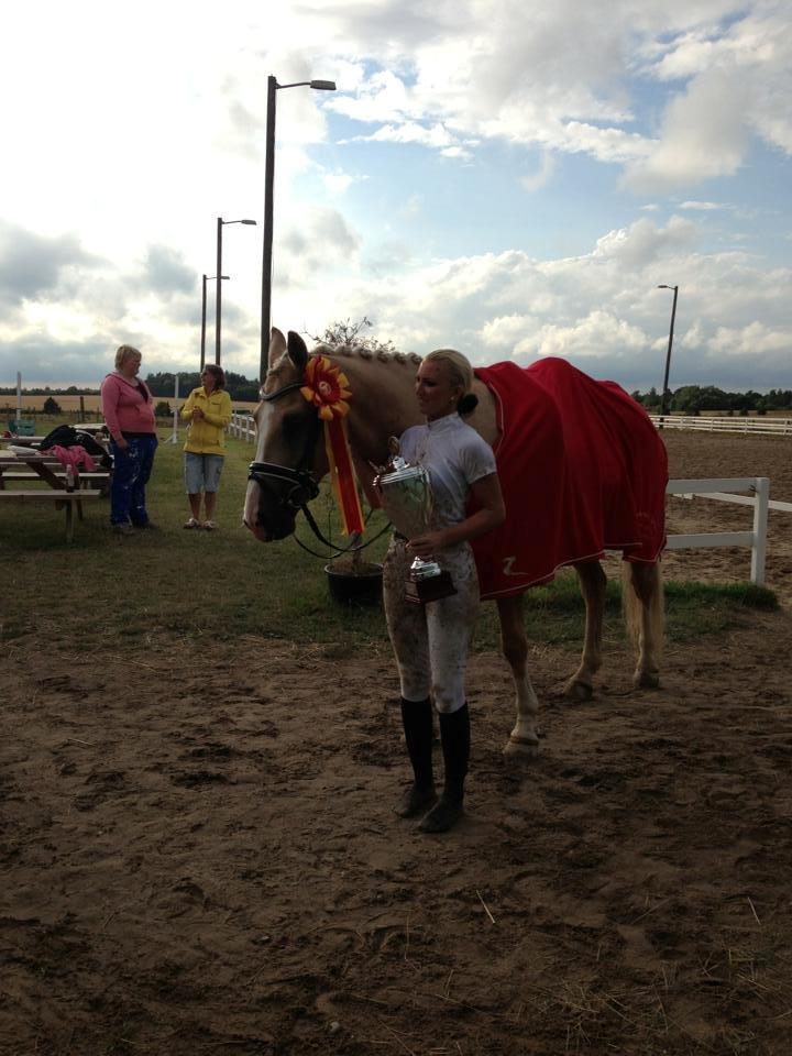 Palomino Mr. Spirit Minded - Klubmestre dressur 2013 ! <3 Jeg går igennem ild og vand for og med dig <3 billede 14