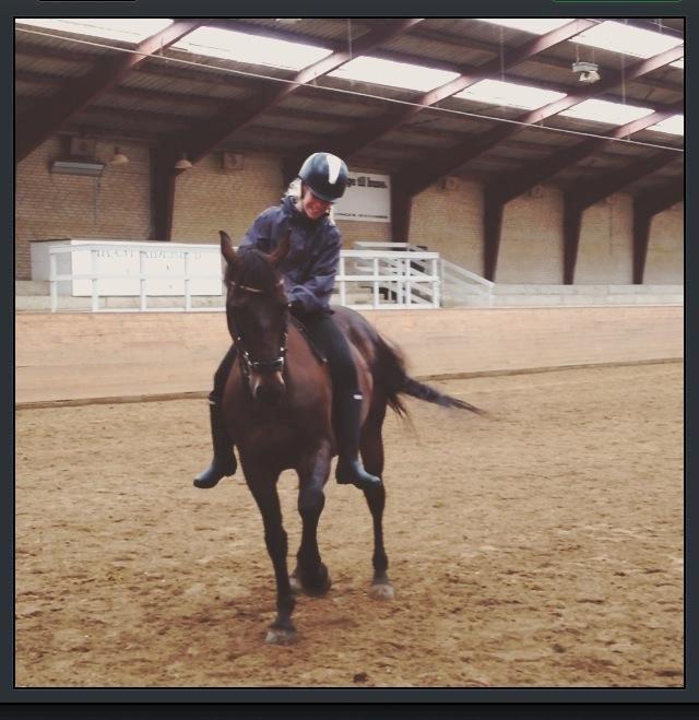 Anden særlig race Zeus<3 billede 11