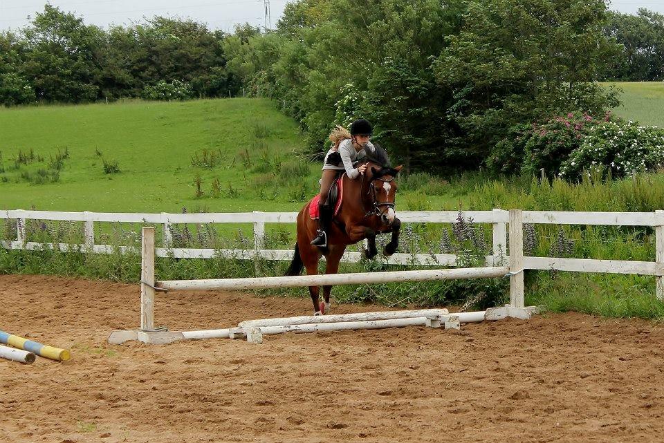 Anden særlig race Miranda *Muffin* - Elsker simpelthen det her billede<3 <3
Sindbjerg ridelejr 2013 billede 1
