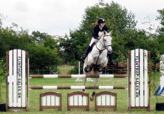 Ungarnsk Varmblod  Favourite (BO!) - Min bo<3
LB** til c-stævne billede 3