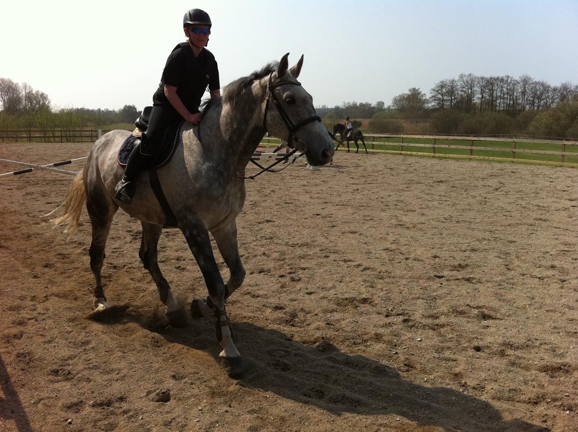 Holstener QUORP'S CADEAU billede 5