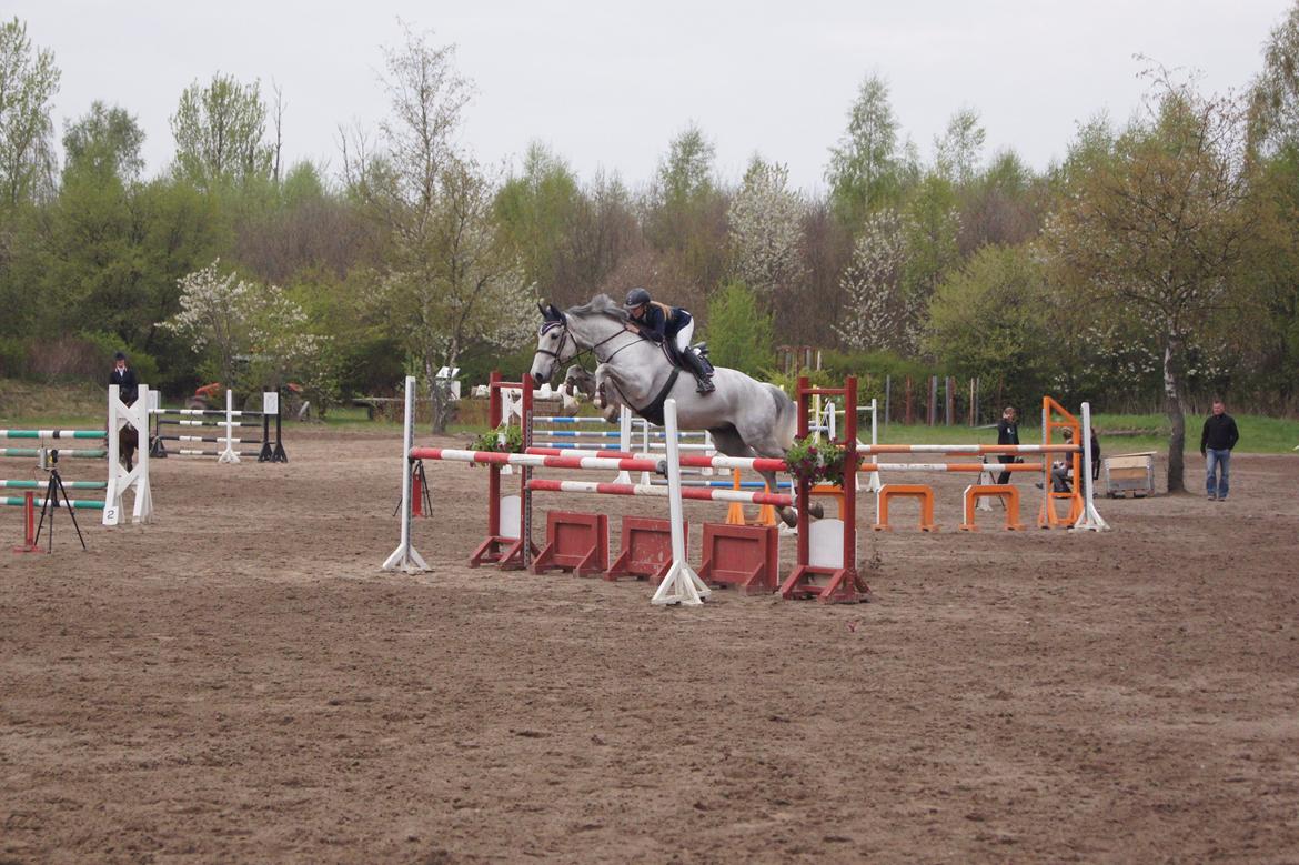 Holstener QUORP'S CADEAU - Sarah og Cadaeu i en mb billede 6