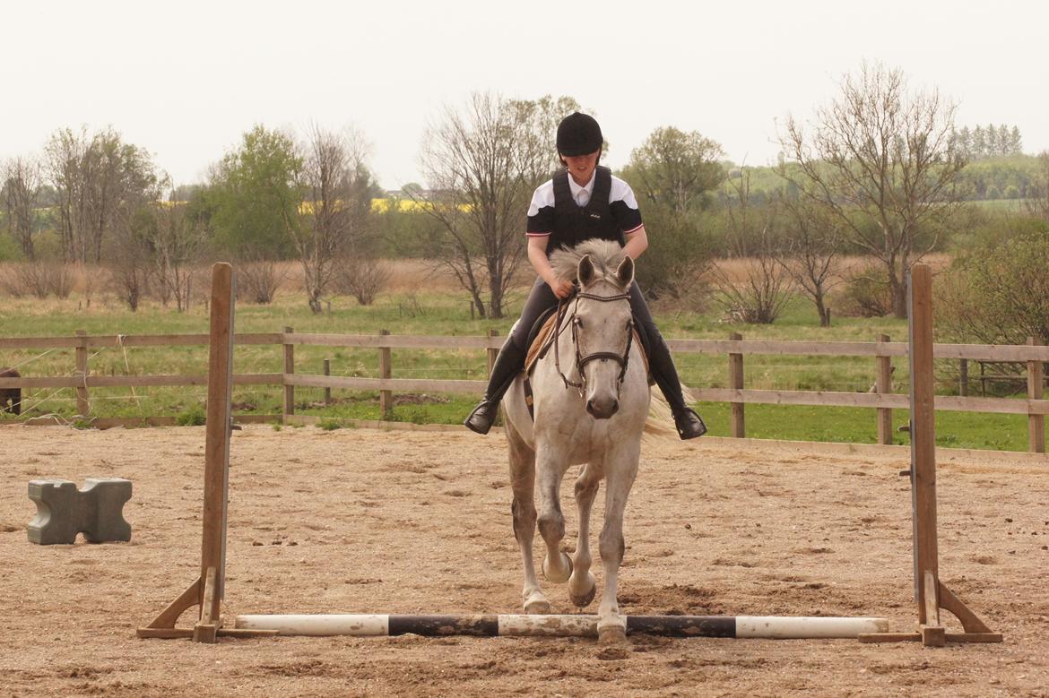 Holstener QUORP'S CADEAU billede 10