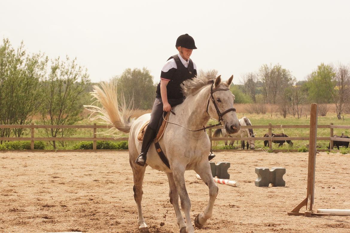 Holstener QUORP'S CADEAU billede 11