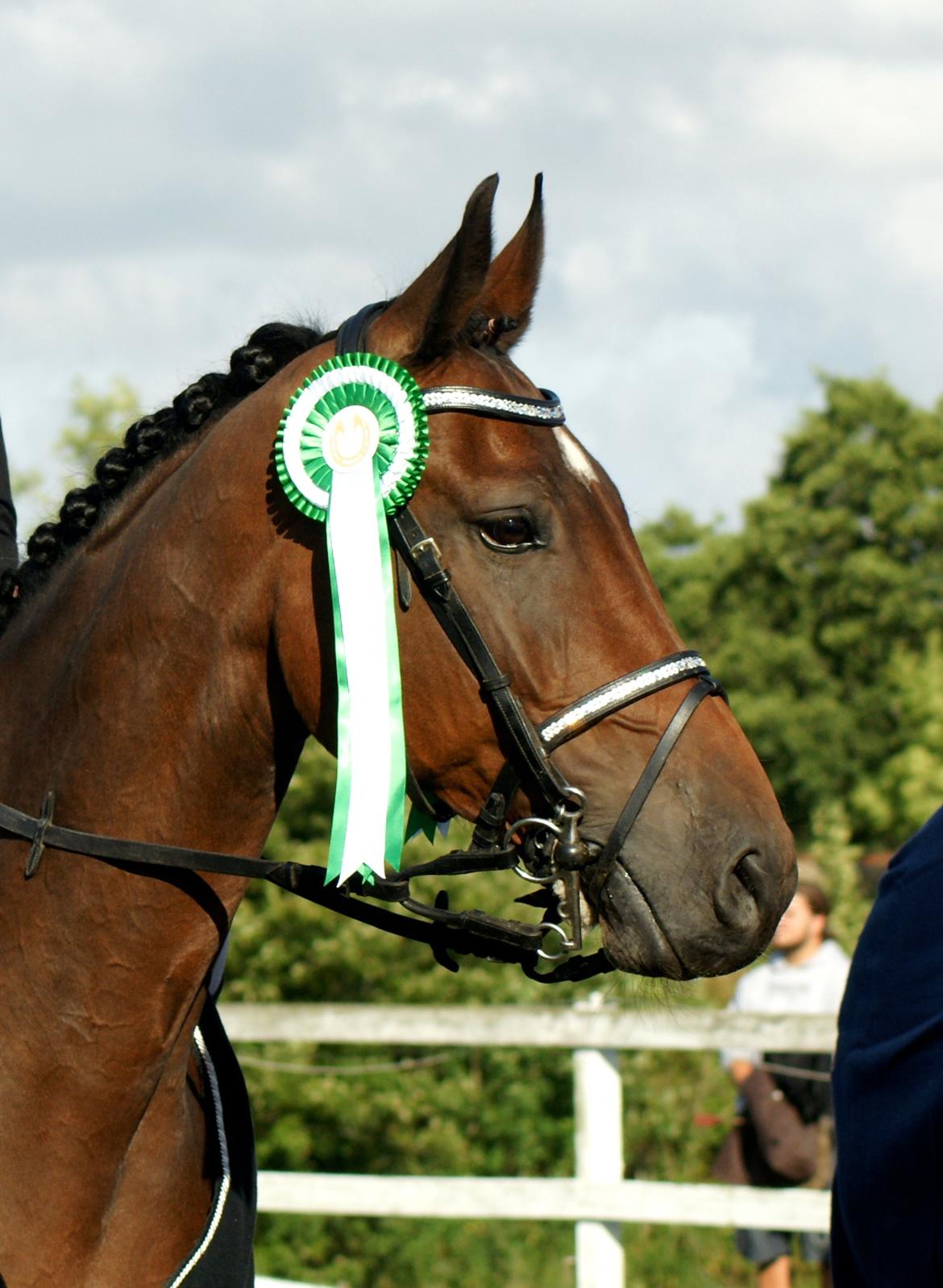 Holstener Pretty woman billede 1