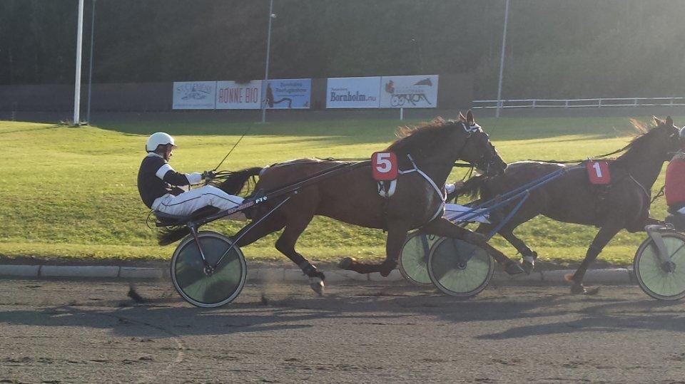 Traver Osiris Neergård - Til løb på Bornholm 2013 billede 2