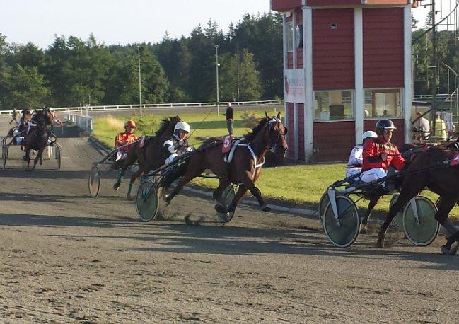 Traver Osiris Neergård - Bornholm 2013 billede 3