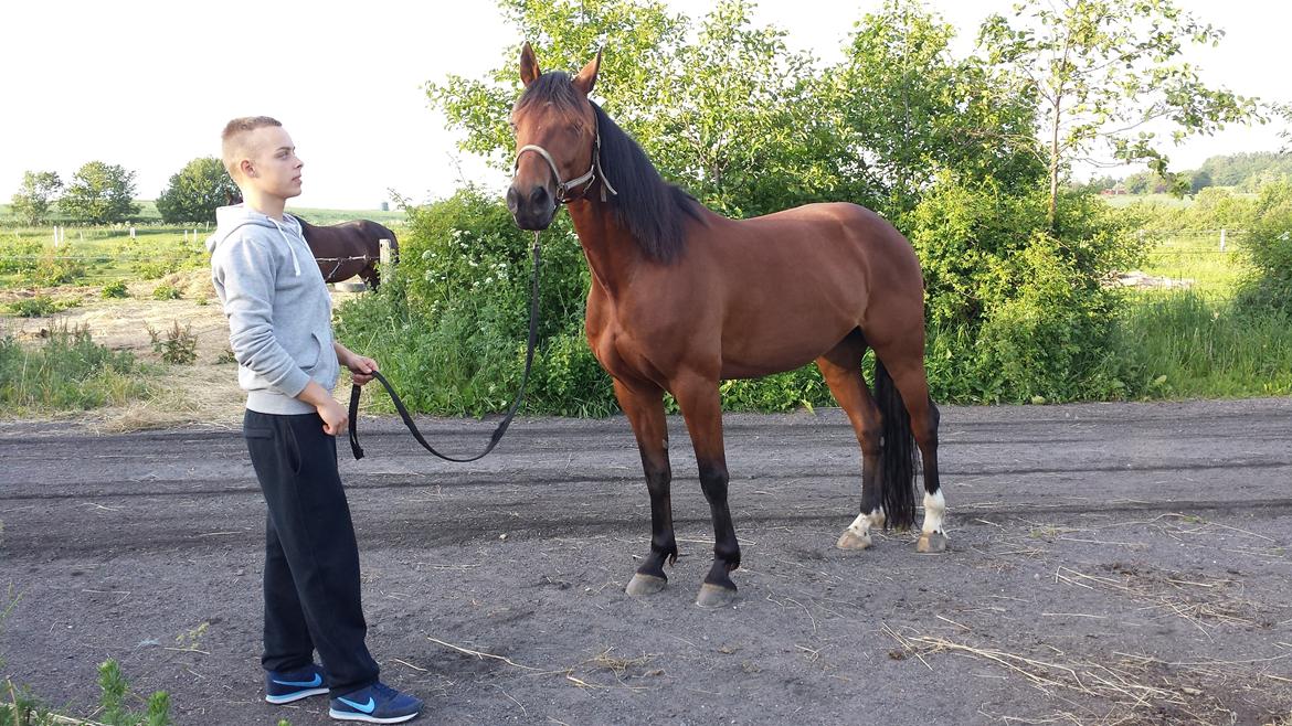 Traver Osiris Neergård - Lækre drenge ;-) billede 7