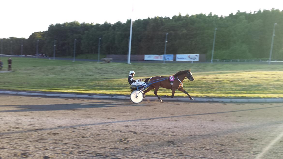 Traver Osiris Neergård - Løb 2013 billede 10
