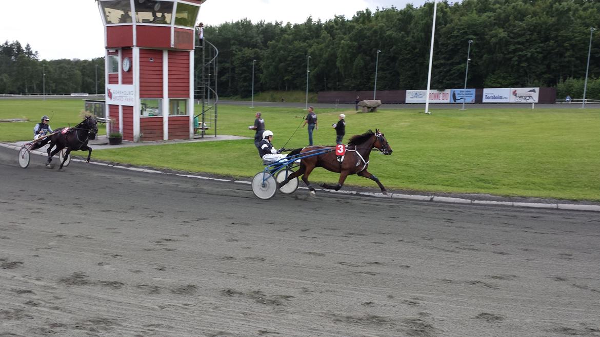 Traver Osiris Neergård - Afkantring til løb 2013 :-) billede 11