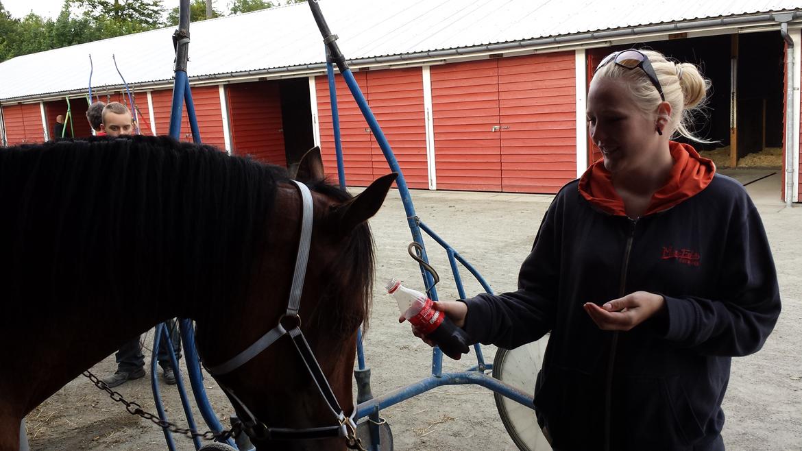 Traver Osiris Neergård - Løbsdag 2013 :-) billede 12