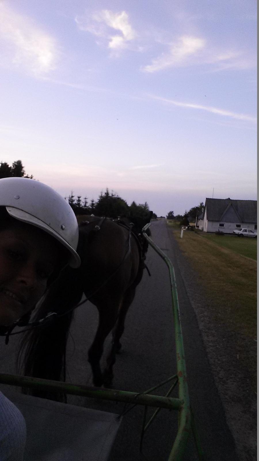 Traver Osiris Neergård - Bassen og jeg på vej hjem efter en dejlig lang tur 2013 :-) billede 13