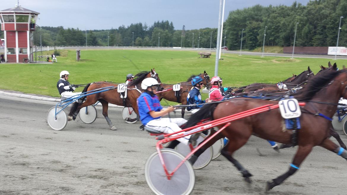 Traver Osiris Neergård - Løb med spor 12 :-) billede 15