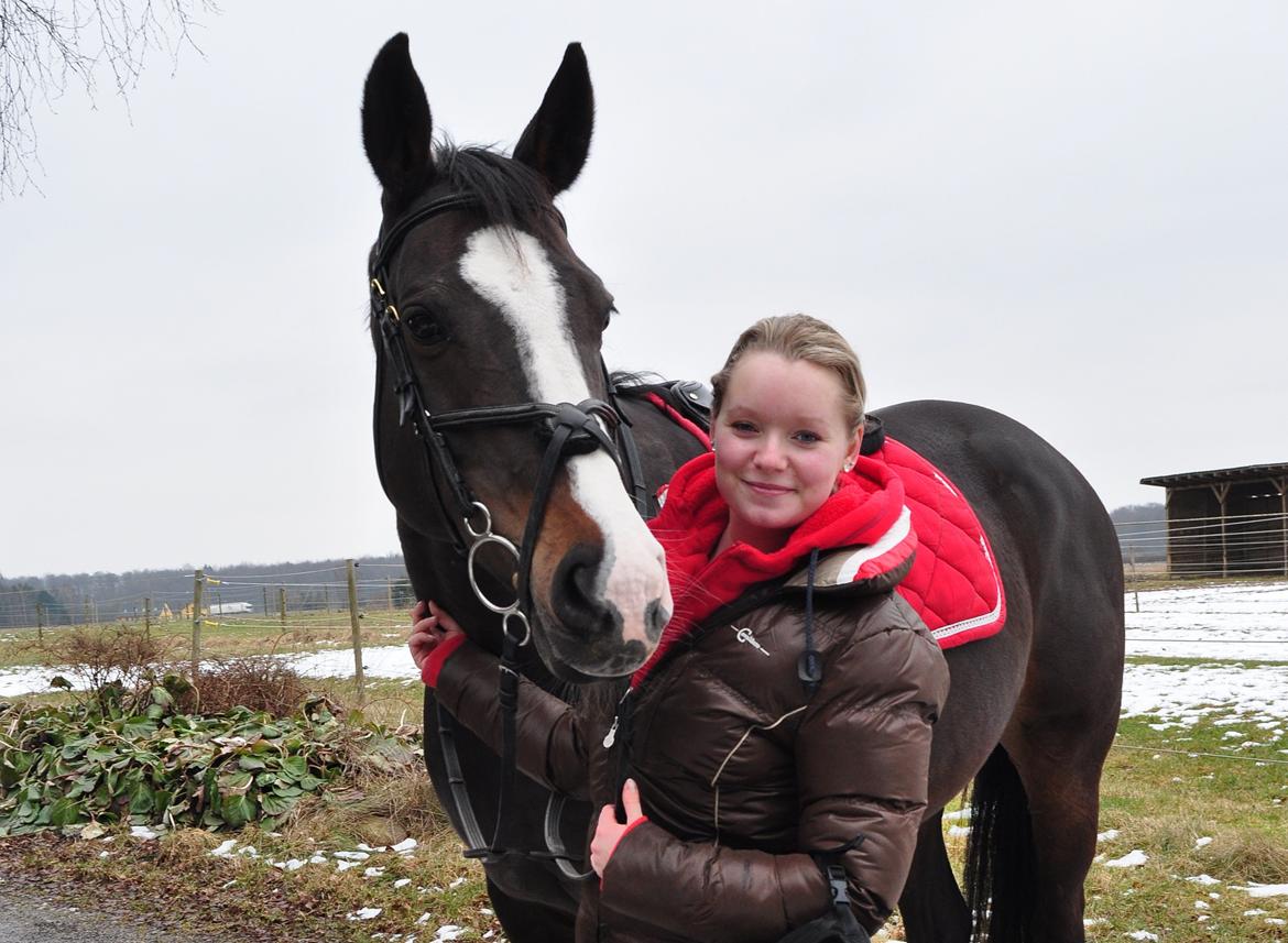 Dansk Varmblod Le' Quick billede 28