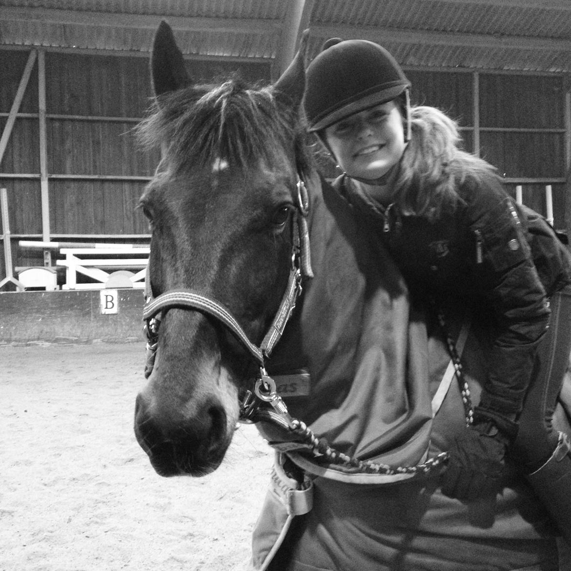Tysk Sportspony Tiger Woods - den bedste pony<3 
Trying to forget someone you love, is like trying to remember someone you never even knew.. billede 32