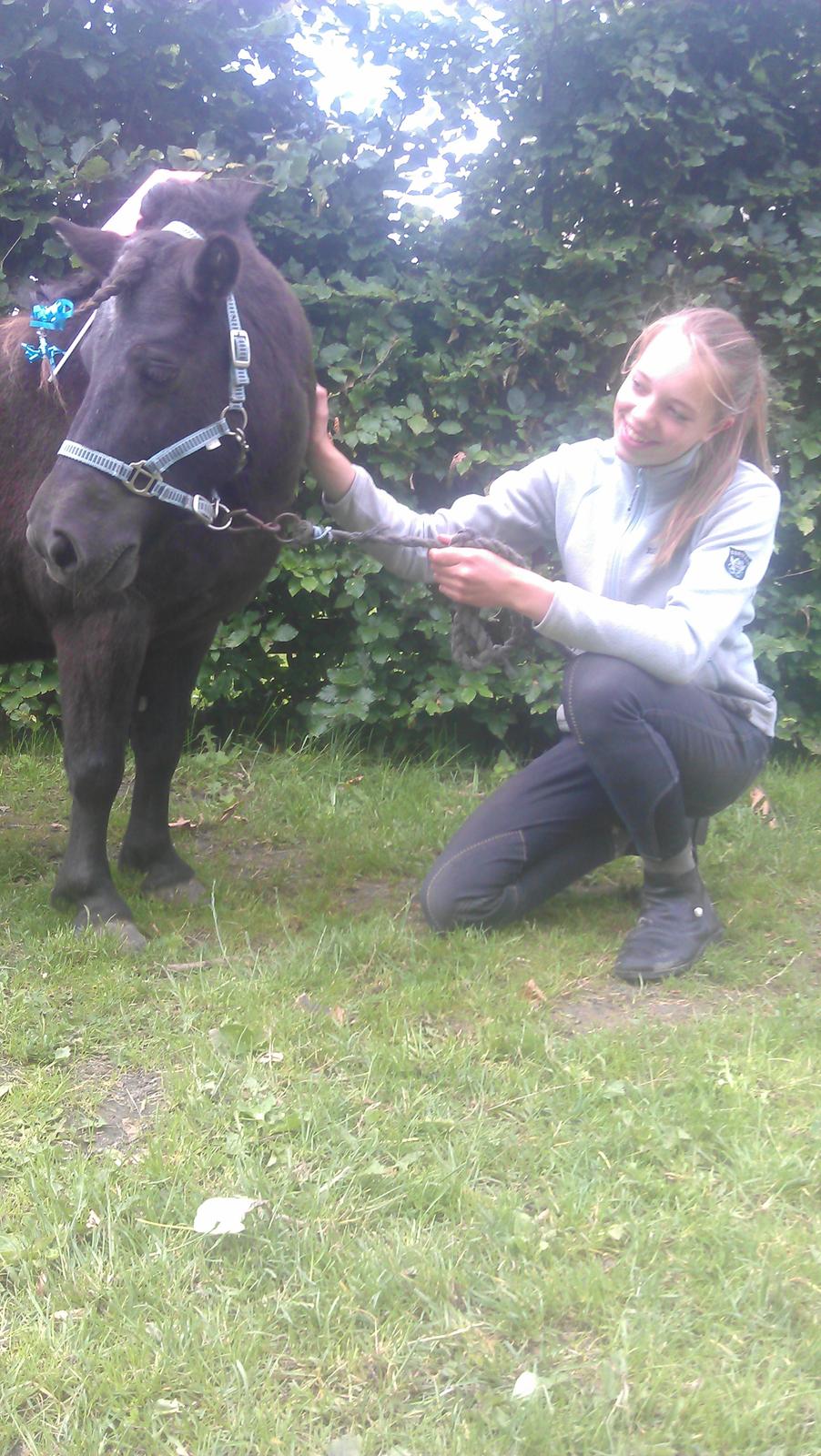 Shetlænder Sally <3 //My Soulmate// billede 6