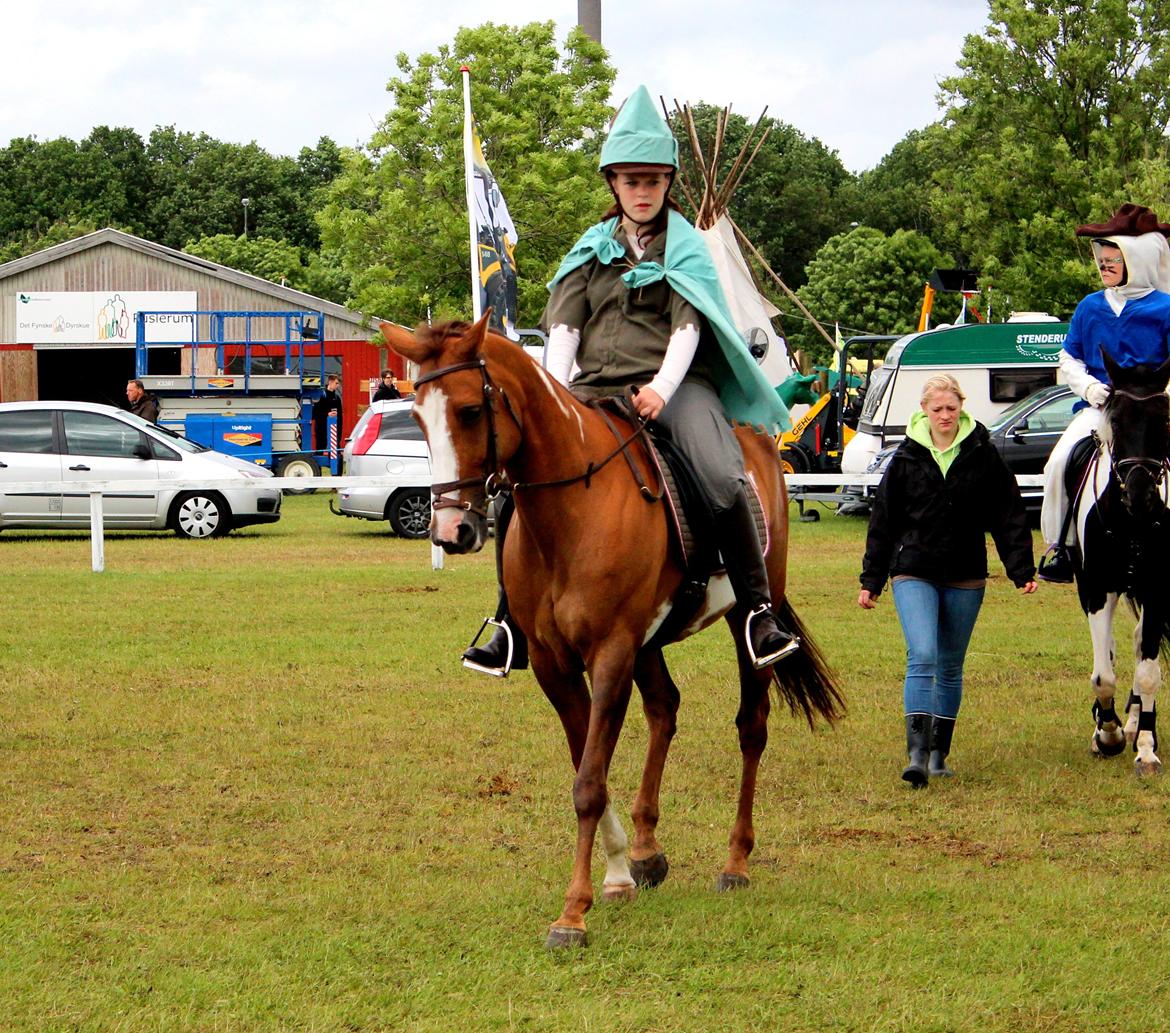 Pinto Sasha billede 29