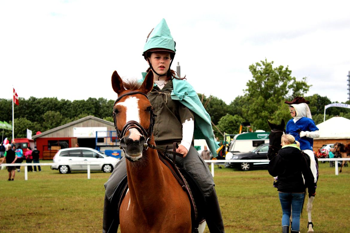 Pinto Sasha billede 30