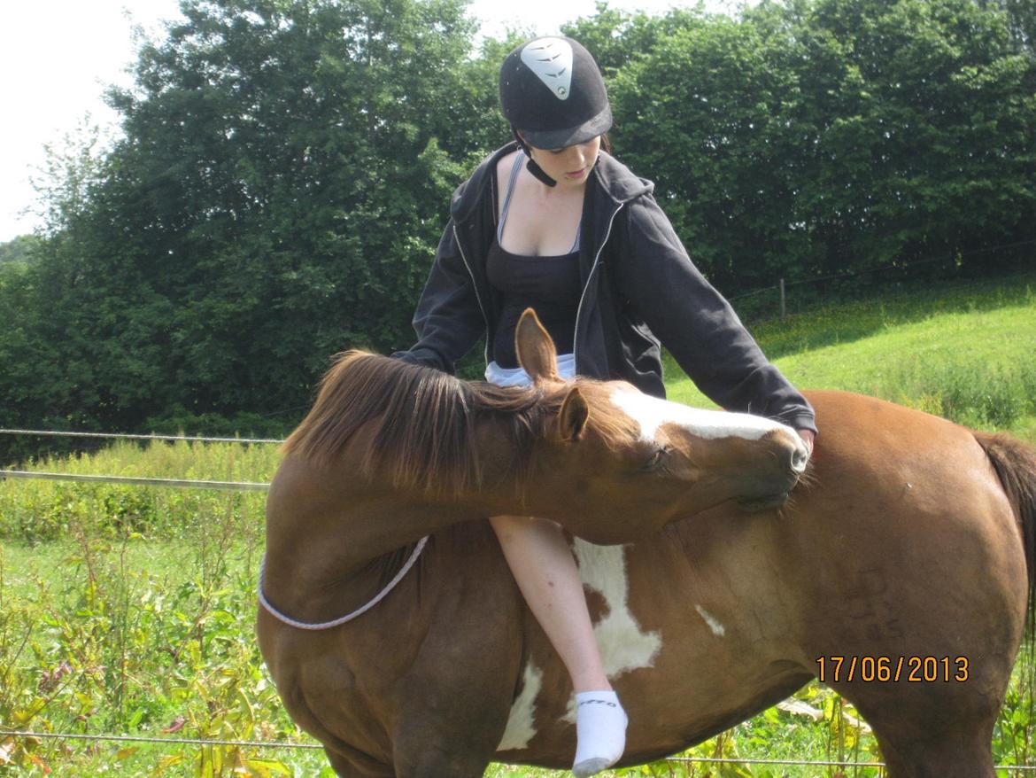 Pinto Sasha billede 26