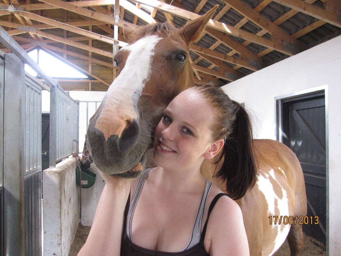 Pinto Sasha billede 31