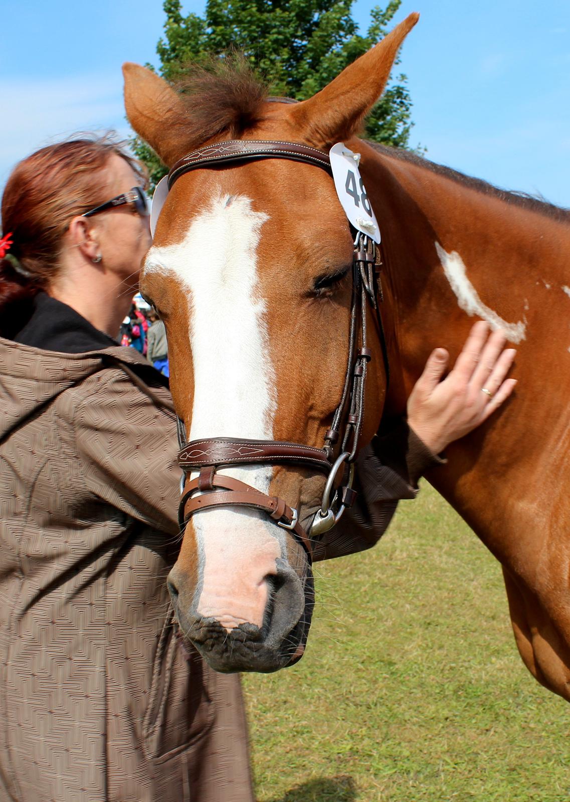 Pinto Sasha billede 32