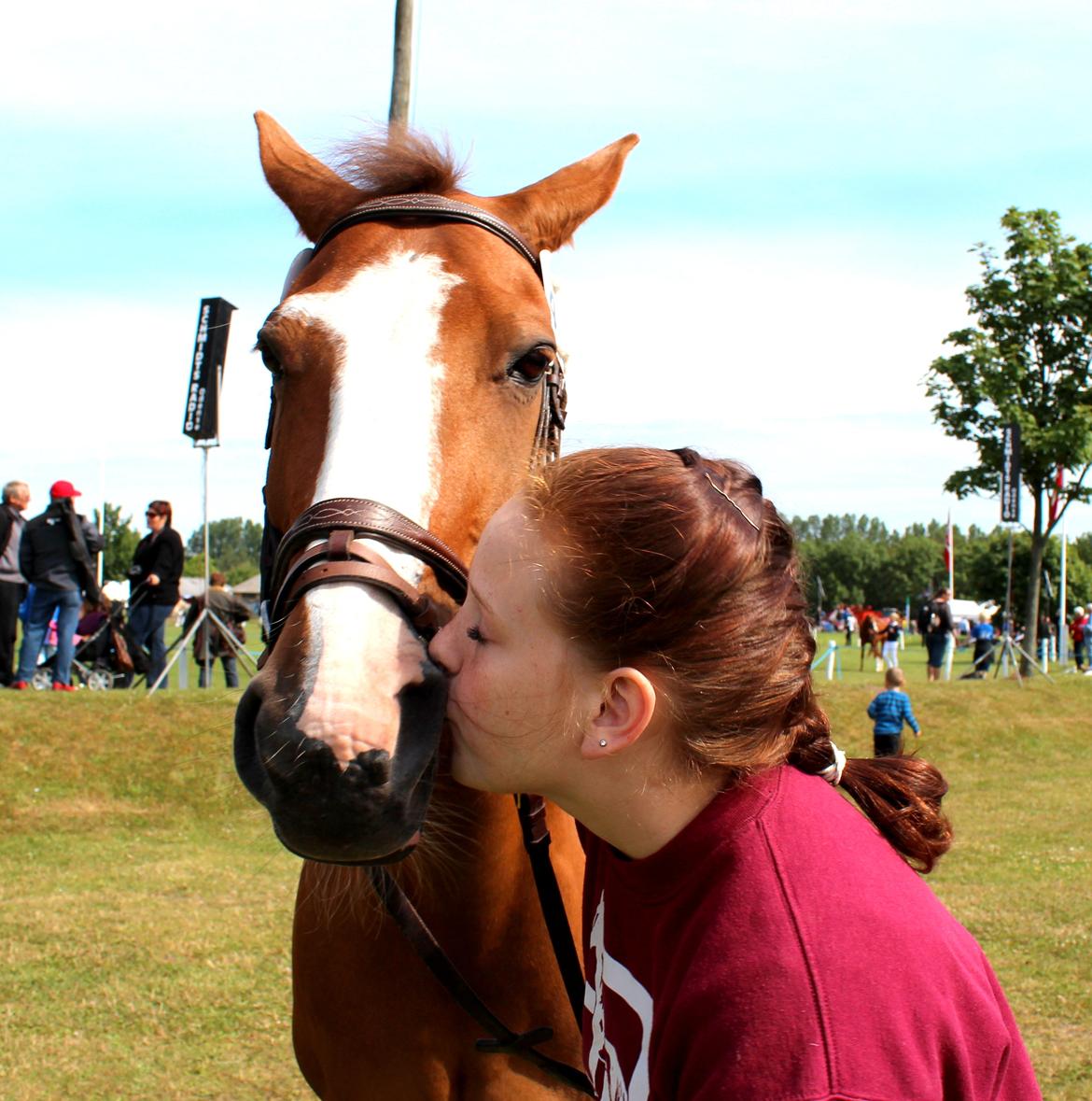 Pinto Sasha billede 33