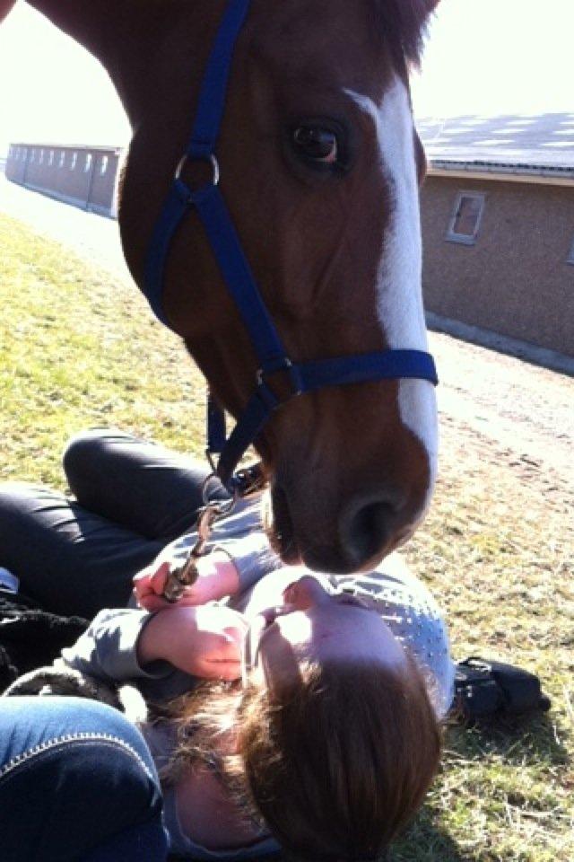 Pinto Sasha billede 38