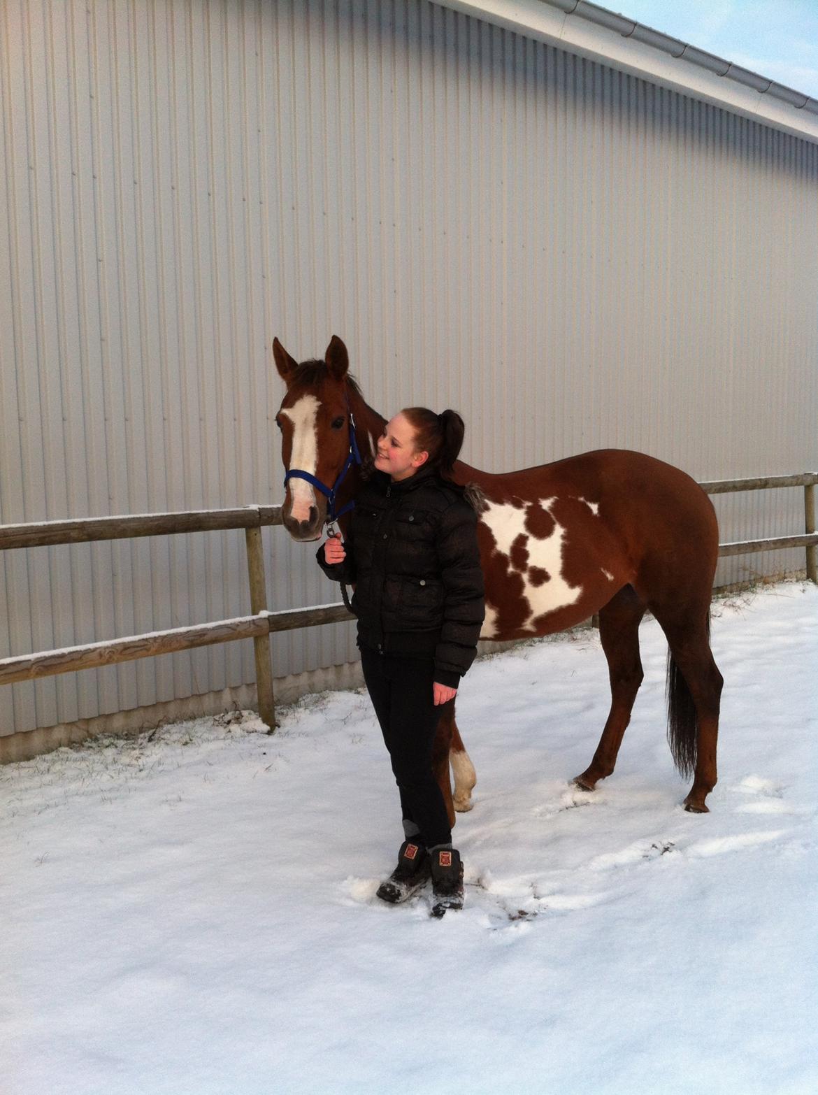 Pinto Sasha billede 39